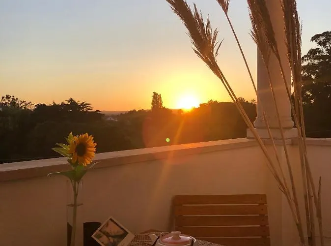 Casa Artelena ゲストハウス