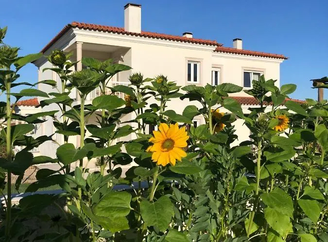 Casa Artelena ゲストハウス